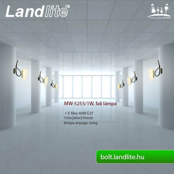 MW-5255/1W fali lámpa – 3. kép